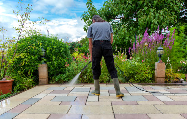 Reliable Ravenel, SC Pressure washing Solutions